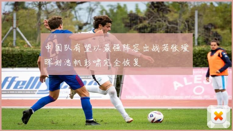 中国队有望以最强阵容出战若张瑷晖刘浩帆彭啸完全恢复